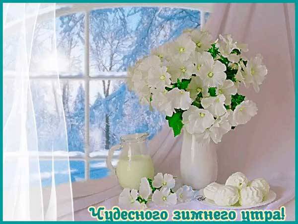 белые розы на зимнем окне