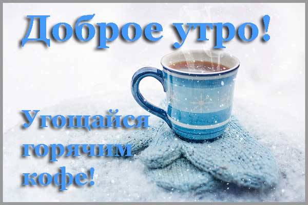 чашка с кофе на снегу