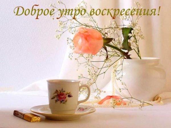 чашка и цветок