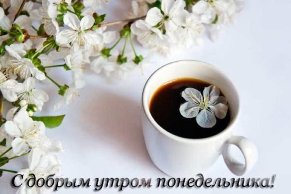 цветы вишни и кофе