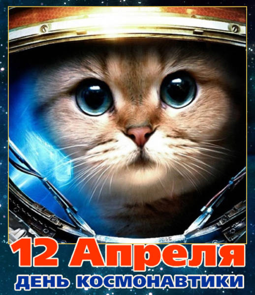 Прикольная картинка с Днем космонавтики с котом 