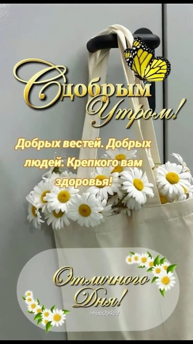 Доброе утро картинка с ромашками