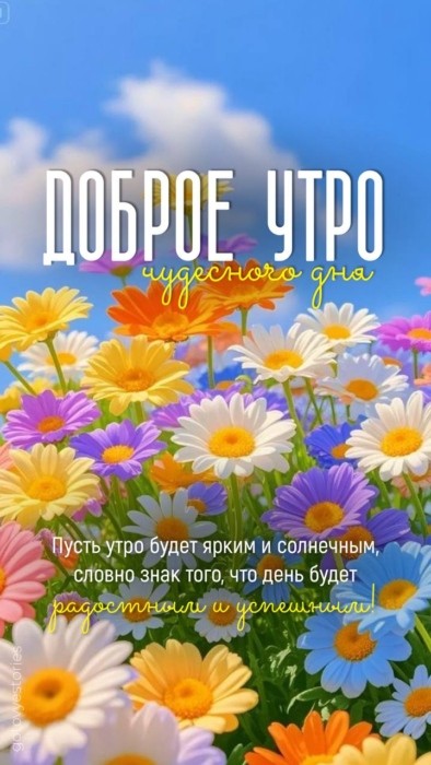 доброе утро летняя картинка с цветами